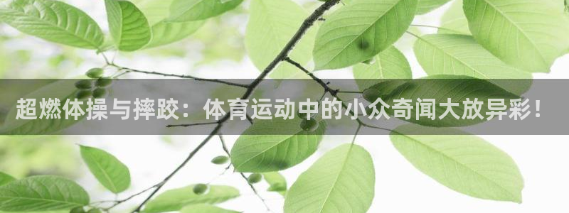 福建蓝狮在线机电股份公司