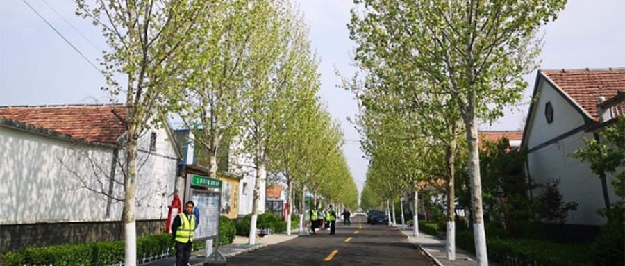 濱潔環保與鶴城區供銷社深度合作:促進“兩網融合”合作新篇章