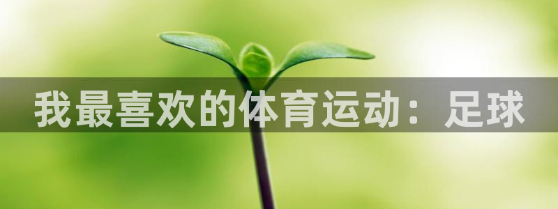 蓝狮在线代理