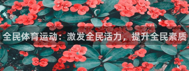 蓝狮在线能源