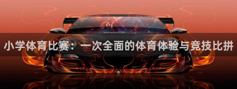 蓝狮在线体育用品