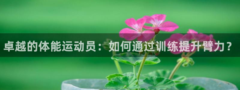 蓝狮在线凯捷平台