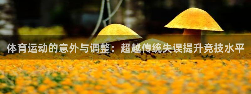 蓝狮在线平台注册入口