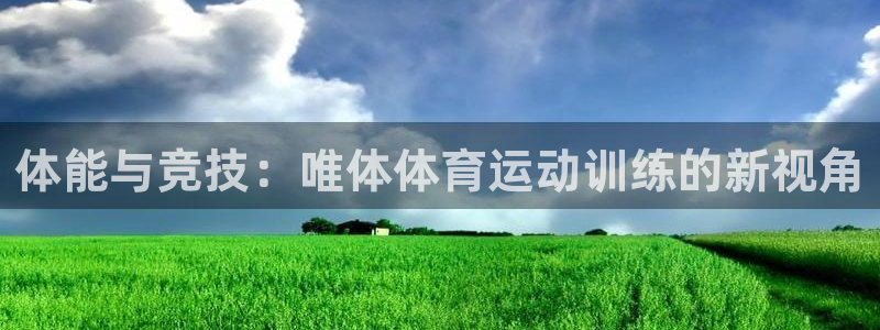 成都蓝狮在线电子有限公司