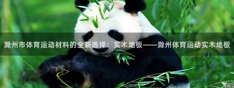 蓝狮在线集团股票