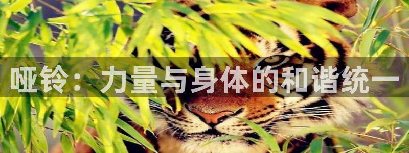 蓝狮在线体育3在线注册