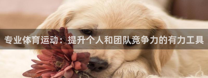 意昂3平台注册