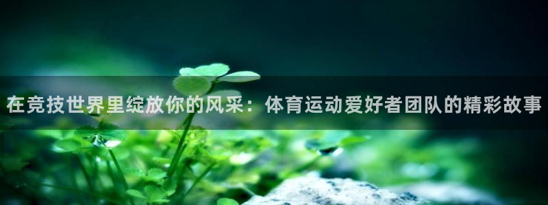 蓝狮在线5招商