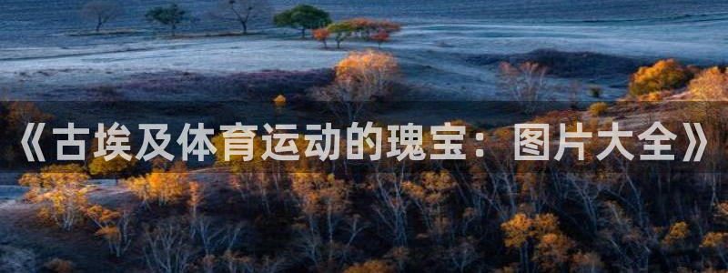 意昂包