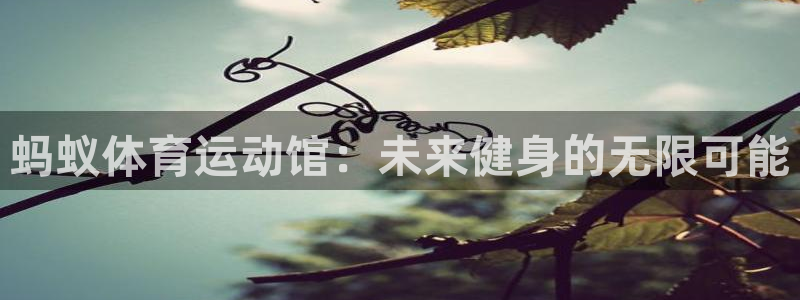 意昂4登录