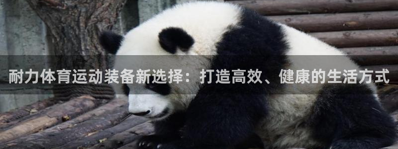 www.意昂体育.com