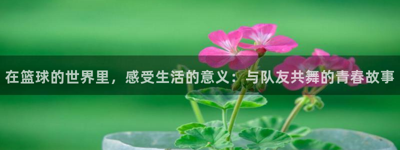 蓝狮在线4平台注册