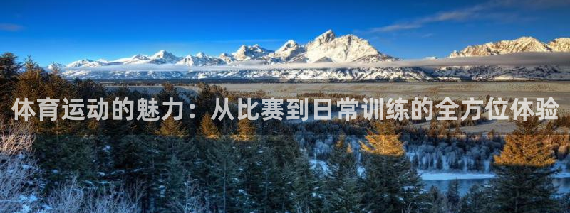福建意昂机电股份公司