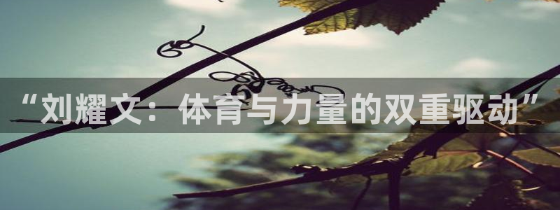 佛山市南海意昂机电仪器有限公司