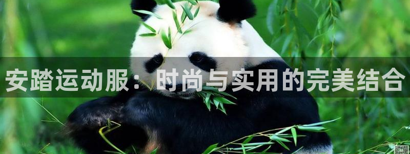 蓝狮在线f凯捷平台在线注册